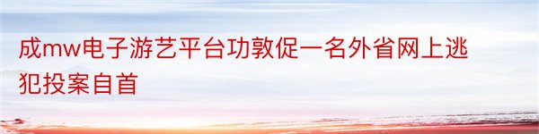 成mw电子游艺平台功敦促一名外省网上逃犯投案自首