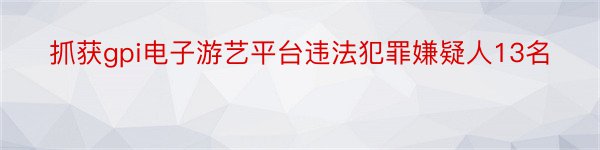 抓获gpi电子游艺平台违法犯罪嫌疑人13名