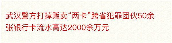 武汉警方打掉贩卖“两卡”跨省犯罪团伙50余张银行卡流水高达2000余万元